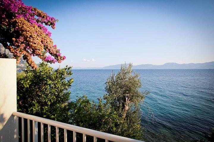 Apartments Kalaba - Dalma I Podaca Luaran gambar